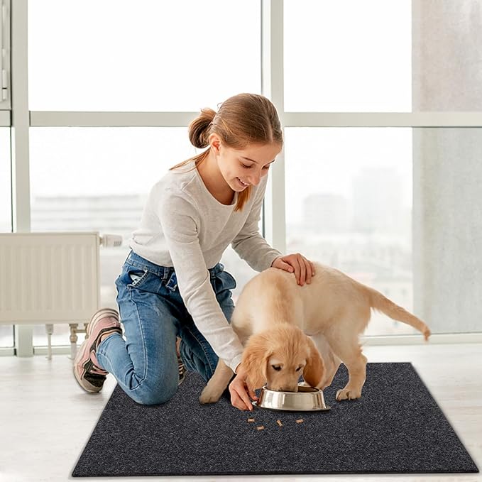 AAZZKANG 2 Pack Multi-Purpose Door Mat for Indoor or Outdoor Use Non Slip Utility Mats Ultra Absorb Mud Easy to Clean Large Welcome Doormat for Entry,Front Door,Indoor,High Traffic Areas Grey 36"x24"