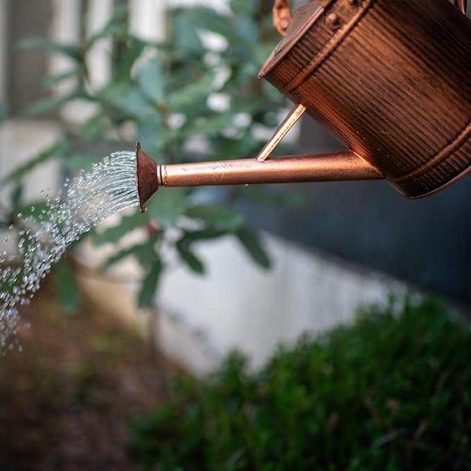 1 Gallon Watering Can, Copper Watering Can, Metal Water Can with Removable Spout, Perfect Plant Water Can for Indoor and Outdoor