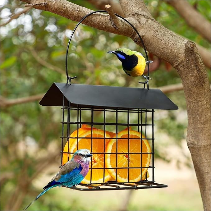 Wild Birds feeders Metal Roof-Suet Cakes Cage Bird Feeder Outdoors or Outside Garden Yard Patio Hanging Outdoors or Outside Garden Yard Patio Hanging Black