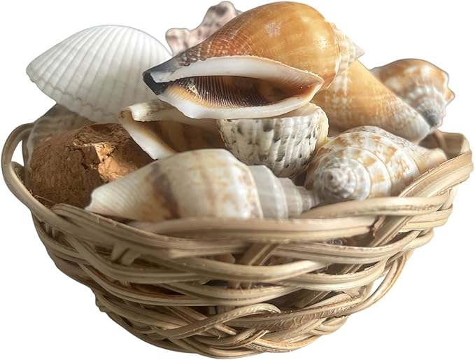 Seashell Basket Decor Set – 21 Natural SEA Shells in 3” Handwoven Basket + Free Decorative Stone Gift – Coastal Centerpiece for Beach Weddings, Baby Showers & Coastal Home Decor