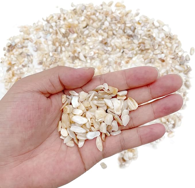 Crushed Shells for Crafts, Sea Shells for Kids DIY Art, Vase Fillers Table Scatter, Party Favor, Wedding Decoration, Succulents Plants Soil Cover, Art Crafts (Beige)