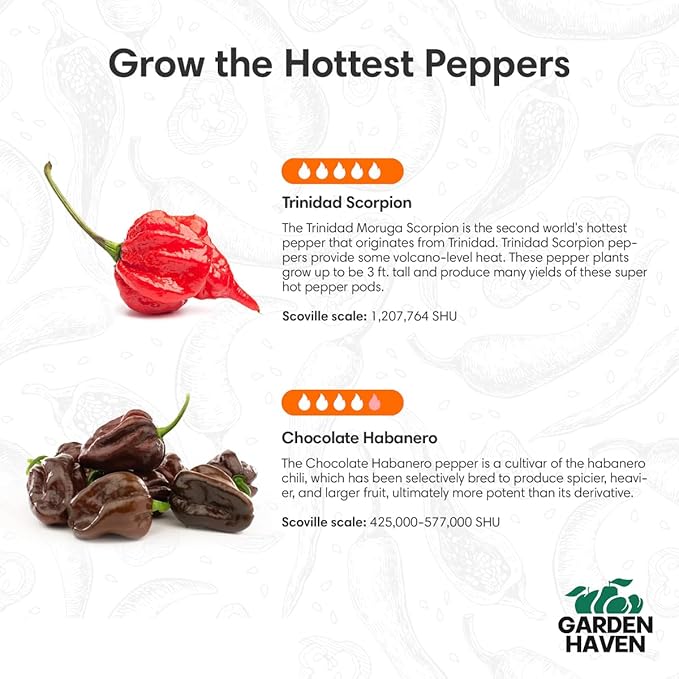 Chocolate Trinidad Scorpion Pepper Seed Starter Kit, Hot Pepper Grow Kit with Peat Pots, Coco Coir Discs, Plant Markers and Instructions, Indoor/Outdoor Growing