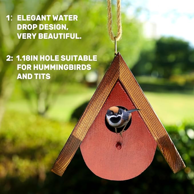 Hummingbird House for Outside. Hummingbird Gifts. Gardening Gifts for Women. Gifts for Bird Lovers. Hummingbird Nest （2 PCS） ZSHLXM