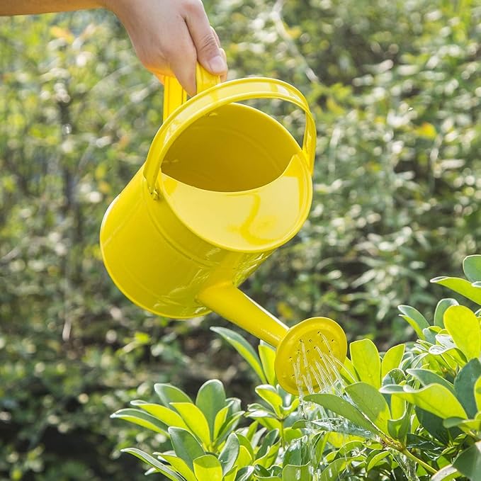Topadorn Watering Can for Plants, 55 Oz Metal Watering Can with Removable Spout for Indoor & Outdoor Plants, Long Spout Garden Watering Can, Yellow