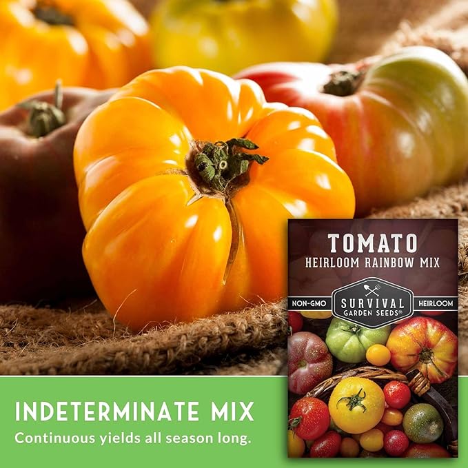 Heirloom Rainbow Mix Tomato Seeds for Planting - Colorful Heirloom Tomato Seed Variety Pack, High Yield Garden Tomatoes, Non-GMO Open Pollinated - Survival Garden Seeds (1 Pack)