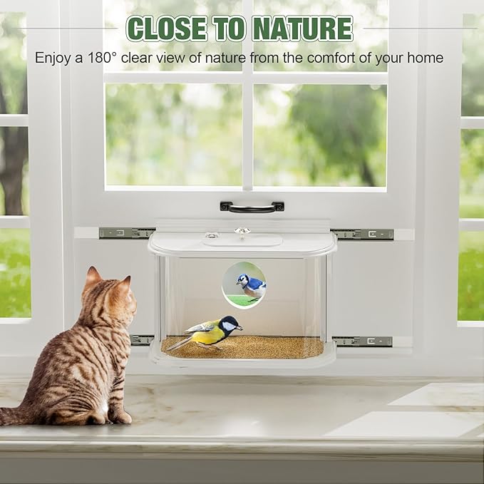 Window Bird Feeder Inside House Bird Feeder Window 180°for Viewing (418 with Tray)
