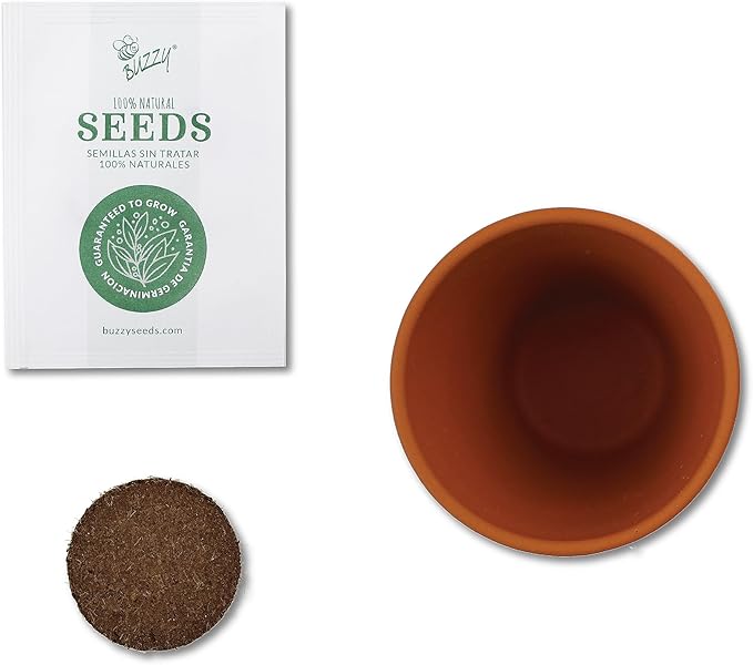 BUZZY Seeds Terracotta Mini Grow Pots 6-Pack Radiant Series – Mixed Herb, Succulent, and Tree Seed Kit for Indoor Gardening and DIY Projects