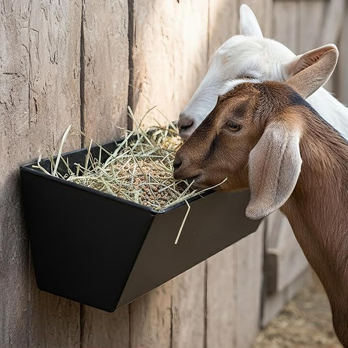 3 Pack 6 Quart Metal Goat Feeder & Duck Feed Trough, Heavy Duty Iron Livestock Manger with Drain Holes & Plugs, Chew-Proof Fence & Wall Hanging Bucket with Hardware for Sheep Piglets, Deer & Poultry