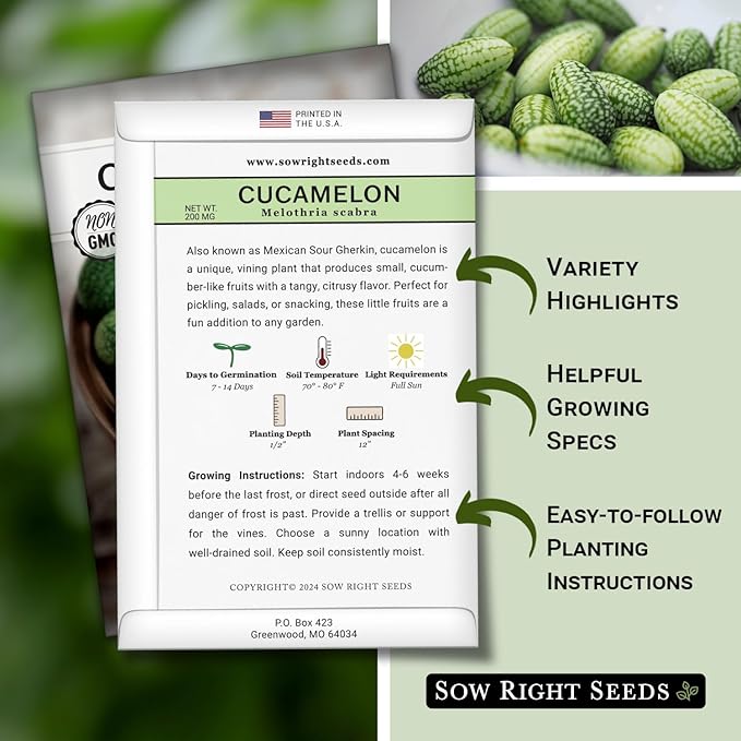 Sow Right Seeds - Cucamelon Seeds for Planting - Non-GMO Heirloom Packet with Instructions to Plant an Outdoor Home Vegetable Garden - Mini Bitter Mouse Melon, Mexican Sour Gherkin - Rare Variety (4)