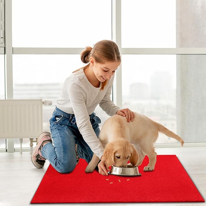 AAZZKANG Red Door Mat Set of 2 Non Slip Durable Multi-Purpose Outdoor Indoor Mats Large 36"x24" Ultra Absorb Mud Easy to Clean Entry Doormat for Inside,Outside,Patio,High Traffic Areas