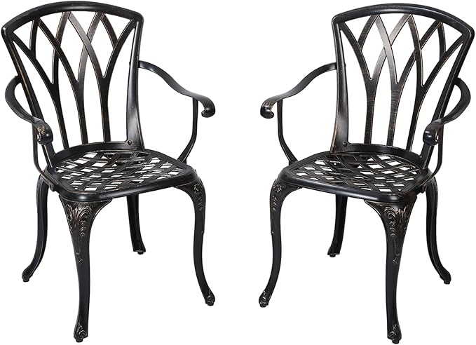 Patio Chairs Set of 2, Cast Aluminum Outdoor Dining Chair for Garden, Backyard, Balcony (Bronze)