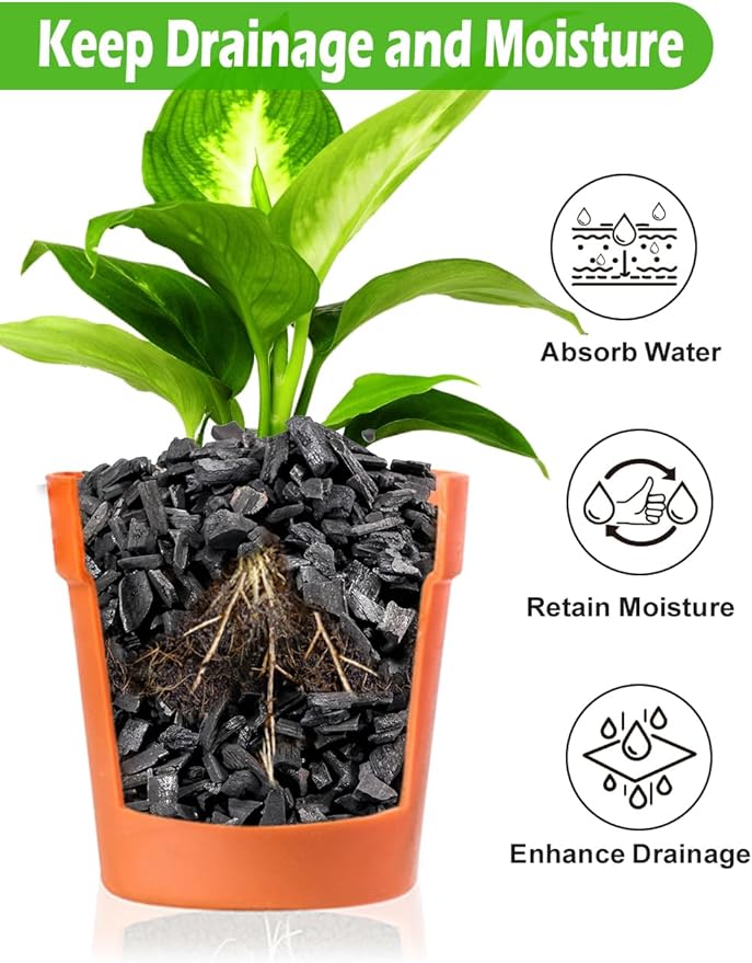 TOYPOPOR Horticultural Charcoal for Indoor Plants (10 Quarts) Hardwood Potting Soil Amendment Helps Improve Drainage for Orchids, Succulent, Cactus, Terrariums, and Gardening