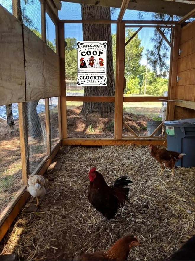 Funny Chicken Sign – Retro Tin Sign for Coop, Farmhouse, or Kitchen Wall, Cute Farm Animal Decor for Chicken Lovers, 12x8 Inch