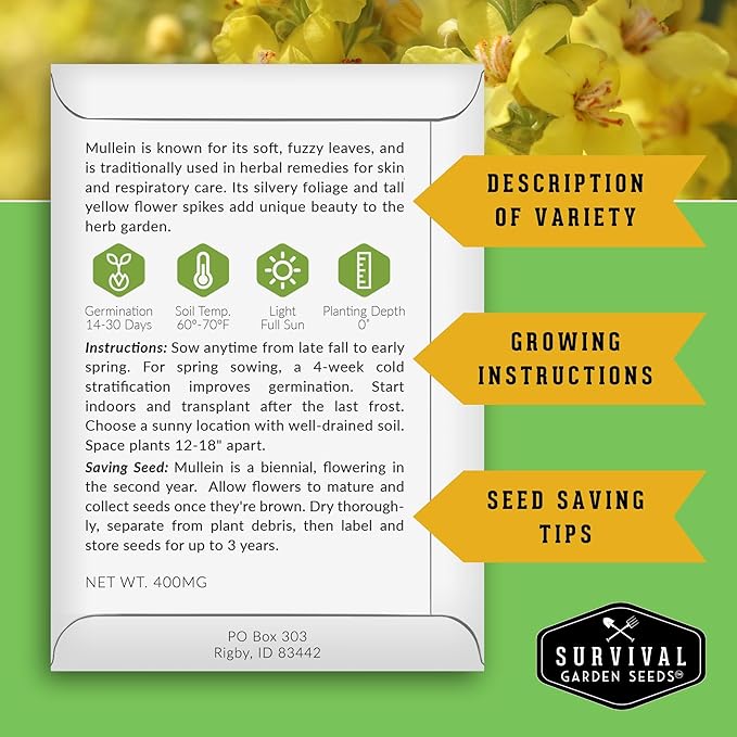 Mullein Seeds for Planting - Verbascum Thapsus Medicinal Biennial Herb with Tall Yellow Flowers - Heirloom Non-GMO Open Pollinated Pollinator Friendly - Survival Garden Seeds (1 Pack)