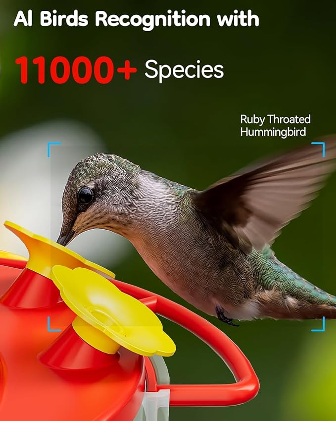 Hummingbird Feeder with Camera, Hummingbird Feeders for Outdoors with 2K Bird Watching Camera, AI Identify Species, Ant & Bee Proof, Instant Notification, Idea Gift for Bird Lover