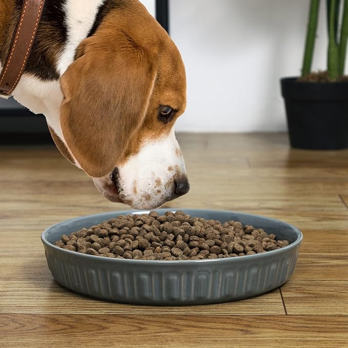 Fun Elements Shallow Dog Bowls, 8" Ceramic Dog Food Plate for Small and Medium Breeds, Non-Slip, Flat and Wide, Dishwasher Safe, Suitable for Puppies and Kittens (Grey)