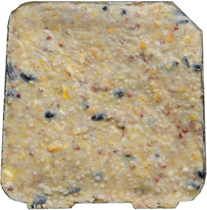 Heath Outdoor Products DDB1-18 All Season High Energy Suet Cake, Case of 18.