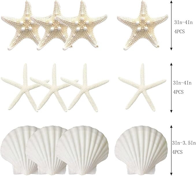JQAQJU 3-4 Inches Large Starfish and Scallop Shells for Crafts 12PCS, Natural Beach Sea Shells for Crafting, Baking Shells Perfect for White Christmas Decor Beach Party Wedding Fishtank DIY Crafts
