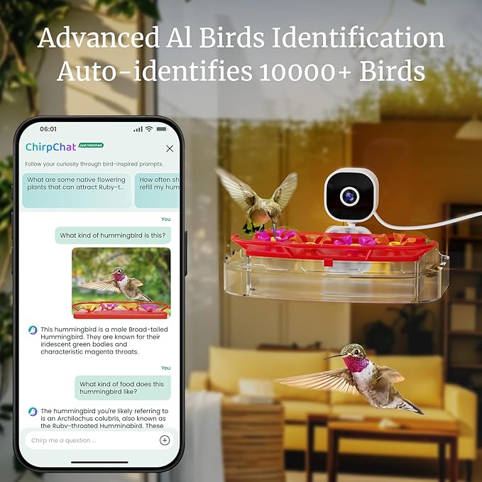 Smart Window Hummingbird Feeder with Camera & AI, 2K HD Live View, Ant Moat & Secure Suction Mount - The Ultimate Gift for Humming Bird Lovers