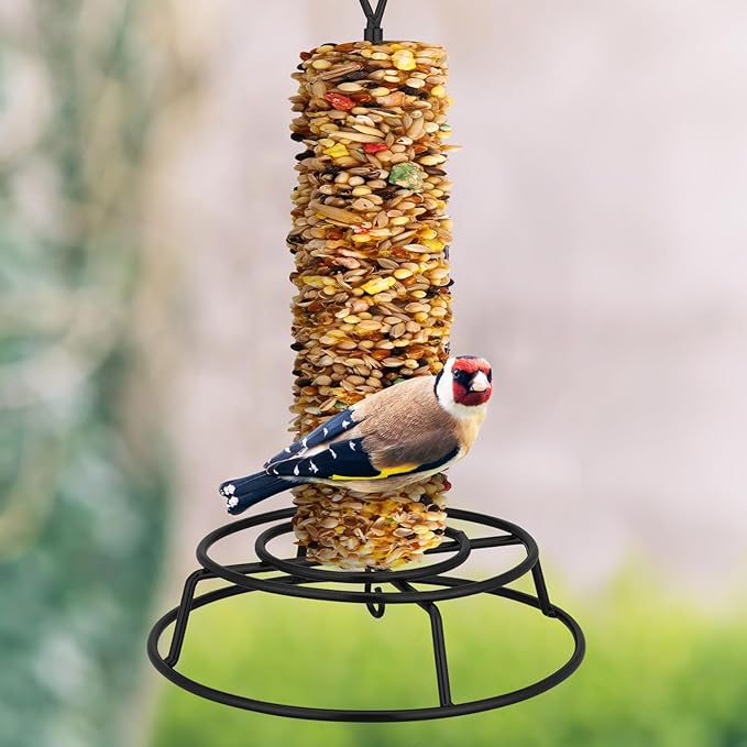 Honeydak 1 Pcs Cylinder Bird Feeder Outdoor Seed Holder for Large Small Cylinders Metal Suet Cake Feeder Backyard Wild Birds Feeding Bird Container for Outdoors Garden (Black)