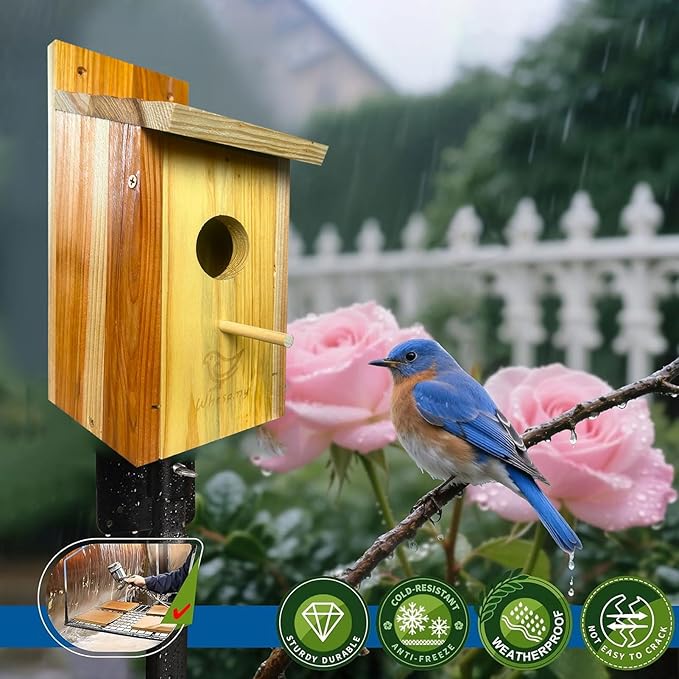 Large Bird House, Bird Houses for Outside Clearance, Cedar Birdhouses for Outdoors, Wood Birdhouse with Secure Latch, Bluebird Houses for Wren Swallow Finch Hummingbird