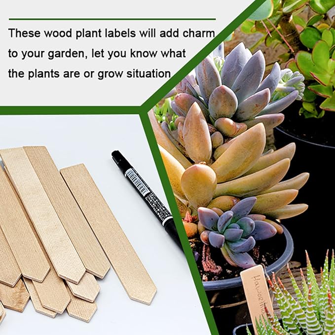 Zkptops 50Pcs Plant Labels 6 Inch Wooden Plant Tags Waterproof Garden Markers Plant Markers Garden Labels Sticks Eco-Friendly Wooden Plant Sign Stakes Sticks for Seed Pot Herbs Flowers Vegetables
