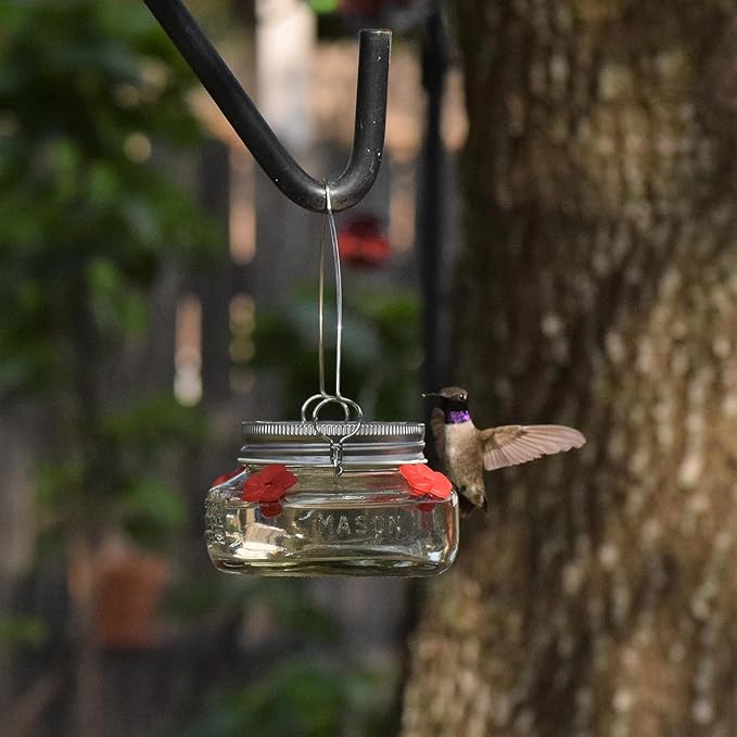 6 Nature's Way Mason Jar Hummingbird Feeders, 6 oz.6