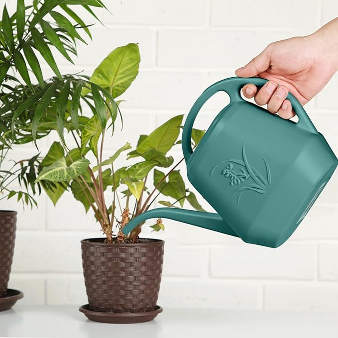 ZXJ Plant Watering Can - for Indoor and Outdoor Home Garden Plants - with Long Spout - Green - 1/2 Gallon