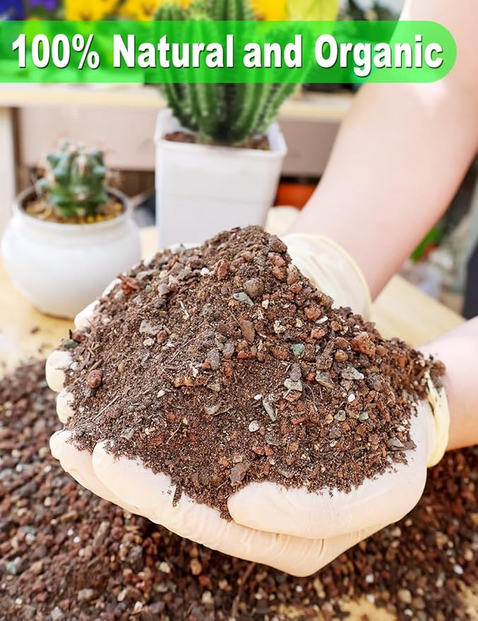 TOYPOPOR Succulent Soil, Cactus Potting Mix 6 Pounds/3QTS, High Drainage, Pre-Mixed Ready to Use for All Succulent Varieties, Indoor Plants, Bonsai, Terrarium, Houseplant, 70% Particles 30% Soil