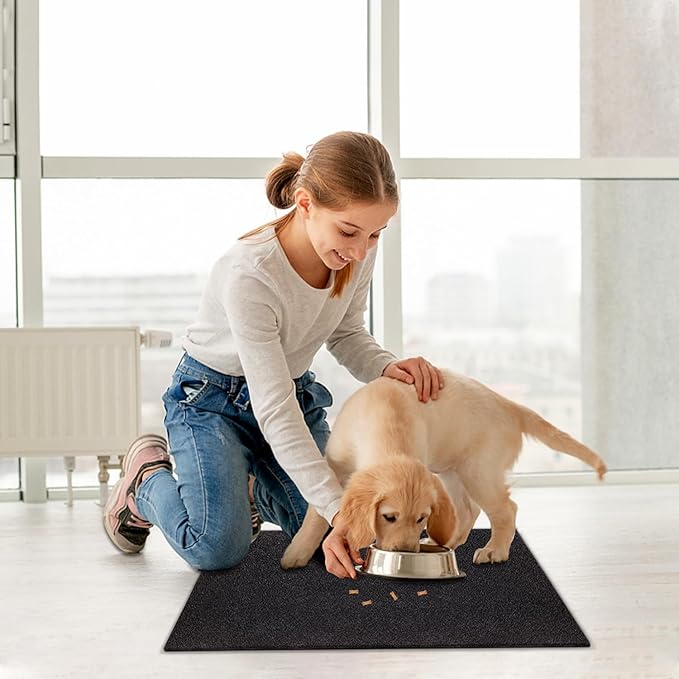 AAZZKANG 2 Pack Front Door Mat Outdoor Indoor Welcome Doormat with Non Slip Backing Multipurpose Blank Mats Ultra Absorb Mud Easy to Clean Utility Mat for Entrance,Home Black