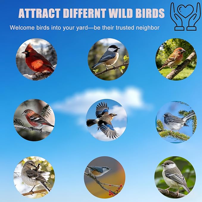 Squirrel Proof Caged Mealworm Bluebird Feeder with Detachable Grille, Easy Refill and Clean, Attract Wild Blue Bird Small Birds Outdoor Hanging, Metal Tube Feeders with Tray Life Time Support