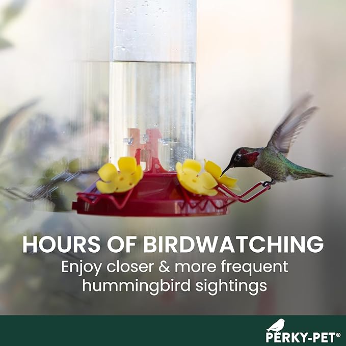 Perky-Pet Plastic Window Mount Hummingbird Feeder with Perches - 8 oz Hummingbird Nectar Capacity, 217 - Hummingbird feeders for outdoors
