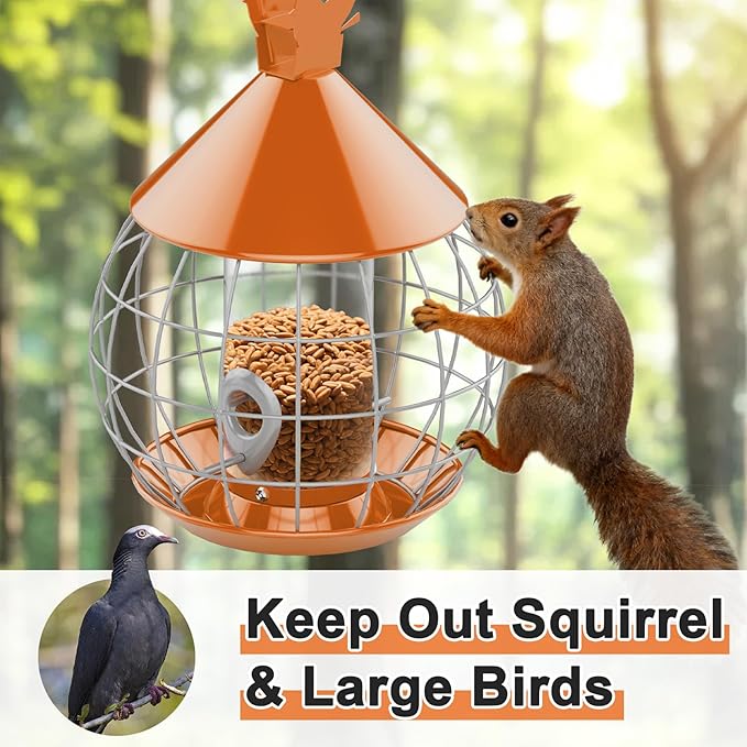 Bird Feeder for Outdoor, Squirrel Proof Bird Feeder for Outdoors Hanging, Weatherproof, Easy to Clean & Refill, Large Capacity Metal Seed Feeder for Finch, Blue Jay, Hummingbird, Orange