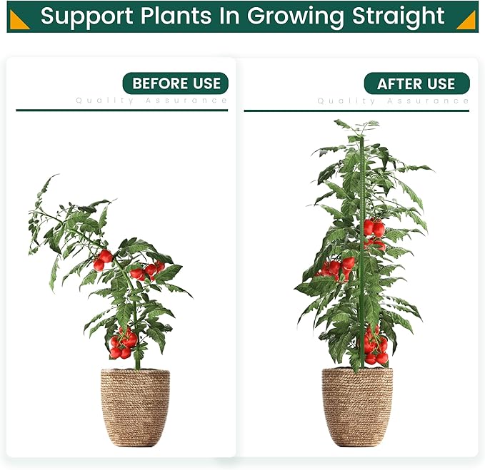 36 Inch 3 Ft Plant Support Garden Stakes 50 PCS, Sturdy Steel Plastic Coated Sticks for Outdoor Growing Climbing, Tomato, Trees, Cucumber, Beans