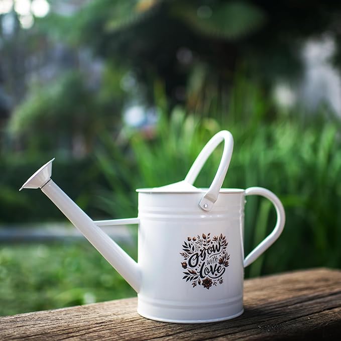 1 Gal Galvanized Steel Watering Can Decorative Farmhouse Style Watering Can, Removable Rosette-Diffuser, Perfect for Indoor and Outdoor Use (1 Gallon White with Floral Design, 1 Gallon)