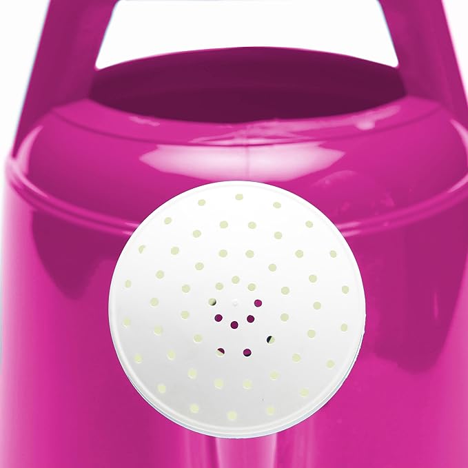 Bloem Deluxe 2 Gallon (256 Fl Oz) Fuchsia Resin Watering Can for Indoor and Outdoor Use