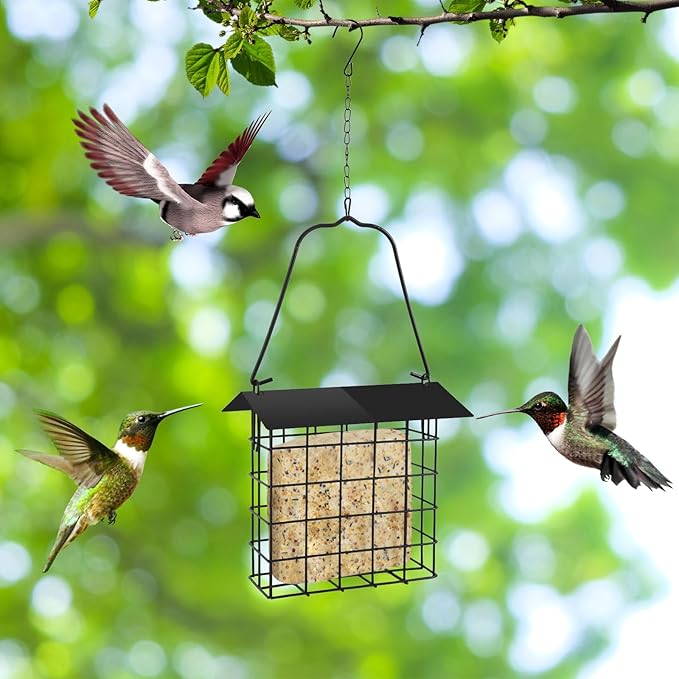 2Pcs Suet Bird Feeder for Outside Hanging, Suet Cakes Cage Bird Feeder for Outdoors with Metal Roof and Adjustable Chain Hook Hanging for Garden Yard Outside
