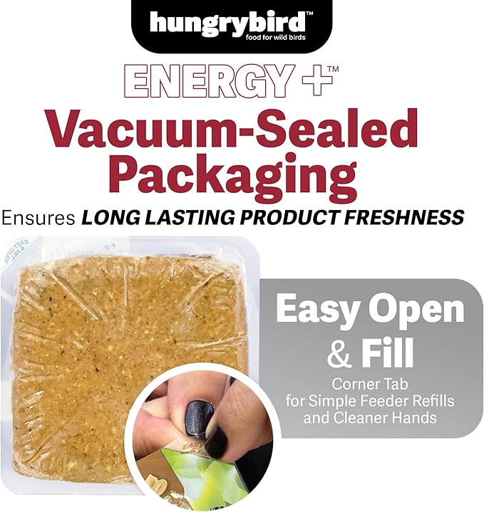 Energy+ No-Melt, High-Protein Suet Cake with Mealworm Filling for Outside Wild Bird Feeders