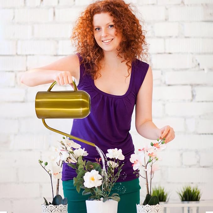 Watering Can Indoor Outdoor Plants, 50oz/1500ml Garden Long Spout Watering Cans, Stainless Steel Plants Watering Can Pot for Indoor House Plants Bonsai Flower Decorative