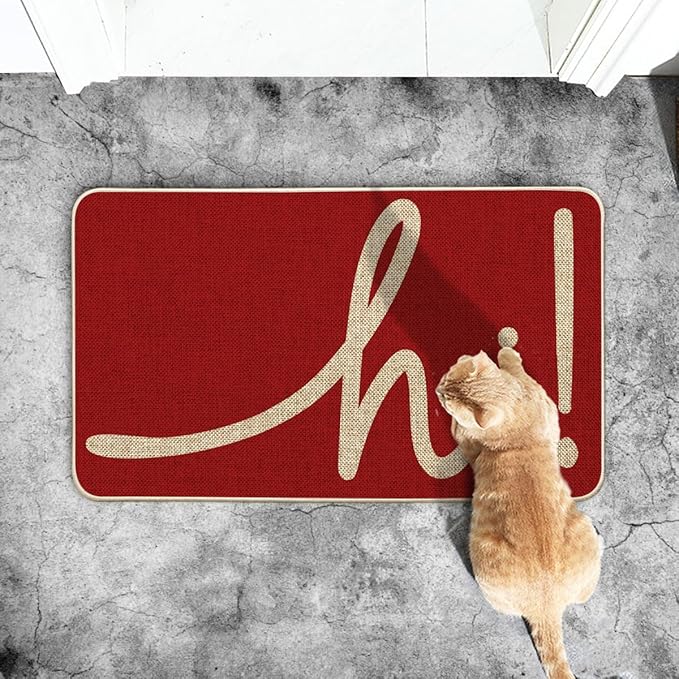 Artoid Mode Red Hi Valentine's Day Doormat, Daily Home Decor Low-Profile Switch Rug Welcome Door Mat Floor Mat for Indoor Outdoor 17x29 Inch