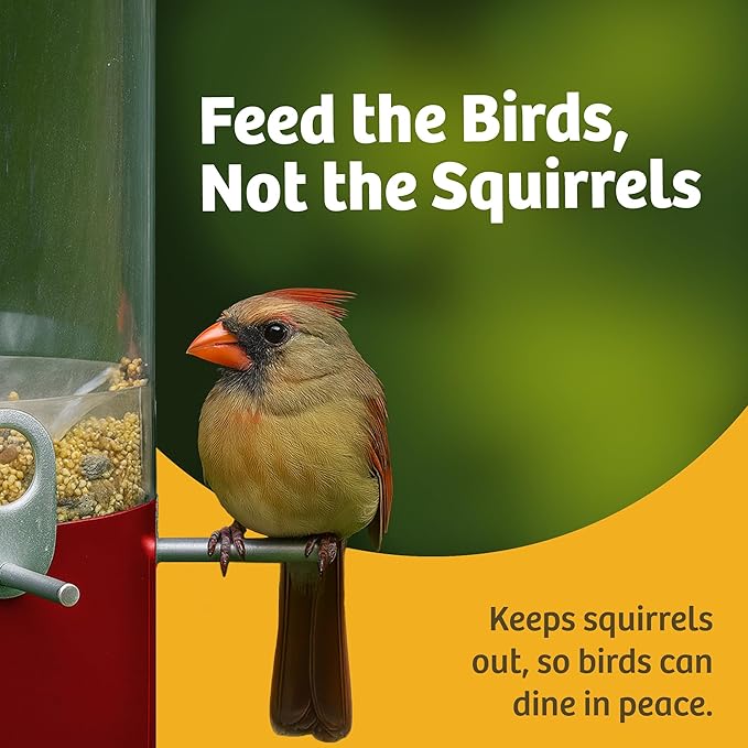 Birds Choice Classic Squirrel Proof Bird Feeder with Pole Mount | Tube Bird Feeder for Cardinals, Chickadees, Woodpeckers | Sturdy Steel for Long-Lasting Use | Backyard Bird Seed Dispenser | Green