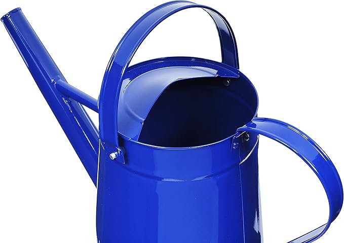 Metal Outdoor Watering Can, 1.2 Gallon Galvanized Steel with Sprinkler Head – Blue
