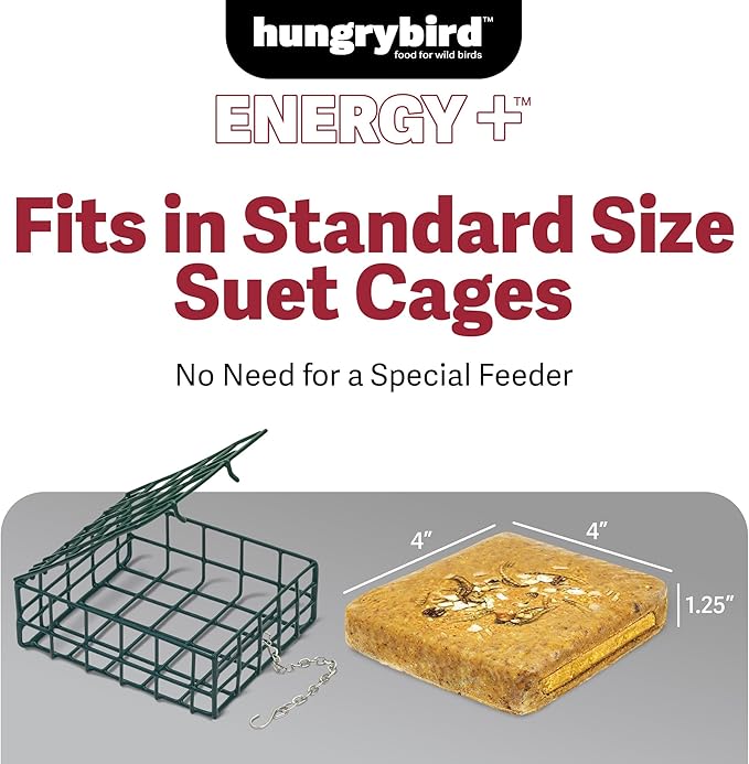 Energy+ No-Melt, High-Protein Suet Cake with Mealworm Filling for Outside Wild Bird Feeders