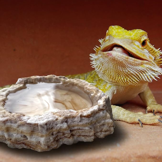 2 Pack Reptile Food Bowls - Reptile Water and Food Bowls with Tongs Imitating Natural Rock，Breadworm Feeding for Leopard Gecko Lizard Spider Scorpion Chameleon (2 Pcs Light Color)
