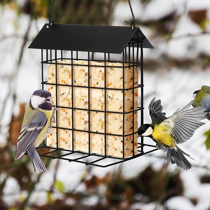 Nuogo 4 Pcs Wild Bird Feeder Squirrel Proof Outdoor Hanging Suet Holder with Metal Roof and Platform Outside Cake Suet Feeder Rainproof Cage for Oriole Hummingbird Chickadee Nuthatch(Black)