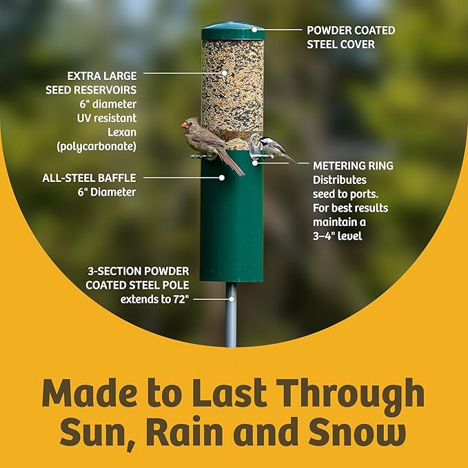 Birds Choice Classic Squirrel Proof Bird Feeder with Pole Mount | Tube Bird Feeder for Cardinals, Chickadees, Woodpeckers | Sturdy Steel for Long-Lasting Use | Backyard Bird Seed Dispenser | Green