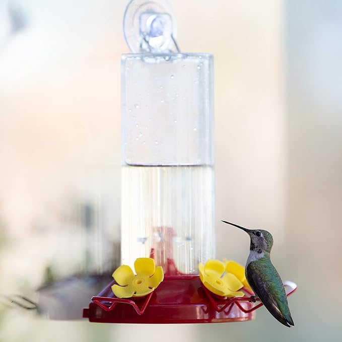 Perky-Pet 217 Window Mount Plastic Hummingbird Feeder with Perches - 8 oz Outdoor Garden Décor Hummingbird Feeder (Pack of 2)