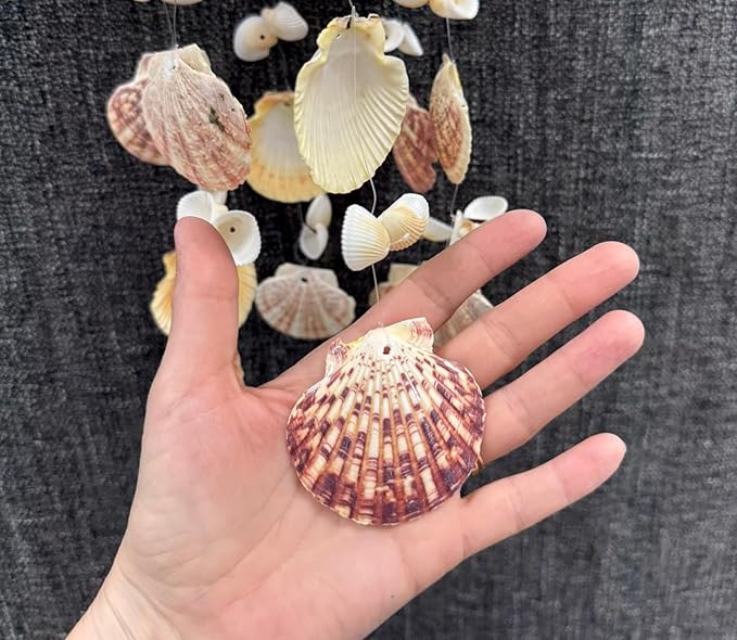 Seashell Windchime Coastal Hanging Decor – Clam Shell Coconut Beach Wind Chime Indoor Outdoor Patio Garden Gift 18”