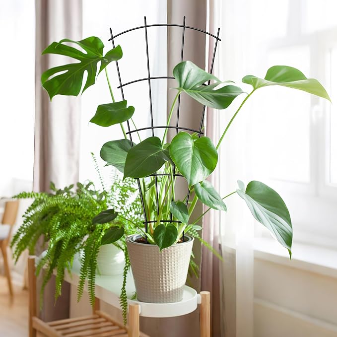 4 Pack 43'' Indoor Plant Trellis for Potted Plants Climbing Outdoor Metal Garden Trellis Houseplants Flowers Vine Ivy,Fan Shape, Black