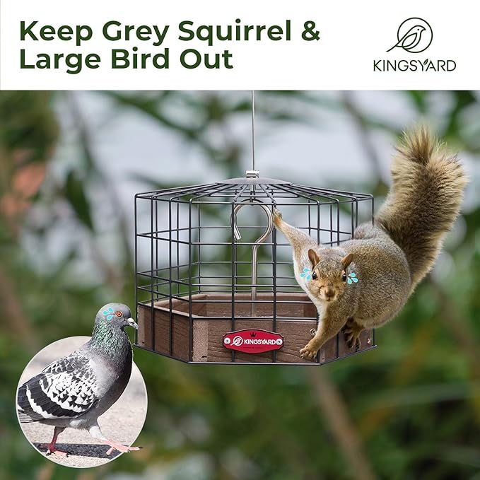 Kingsyard Squirrel Proof Platform Bird Feeders for Outdoor Hanging, 10" Wide Metal Caged Bird Feeder for Small Wildbirds Finches, Recycled Plastic Feeding Platform with Metal Seed Tray, Brown